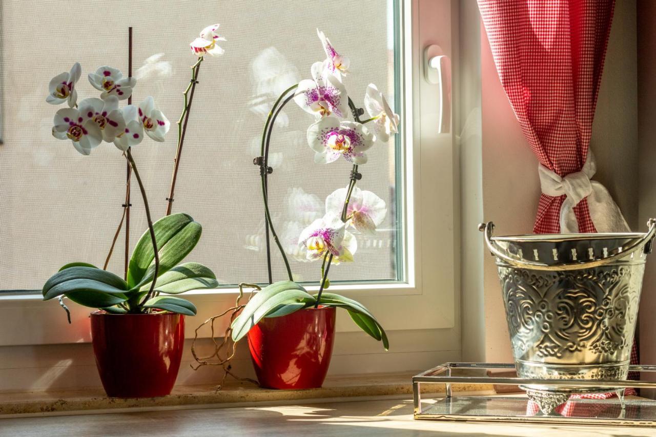 Ferienwohnung Jenzigblick Jena Dış mekan fotoğraf